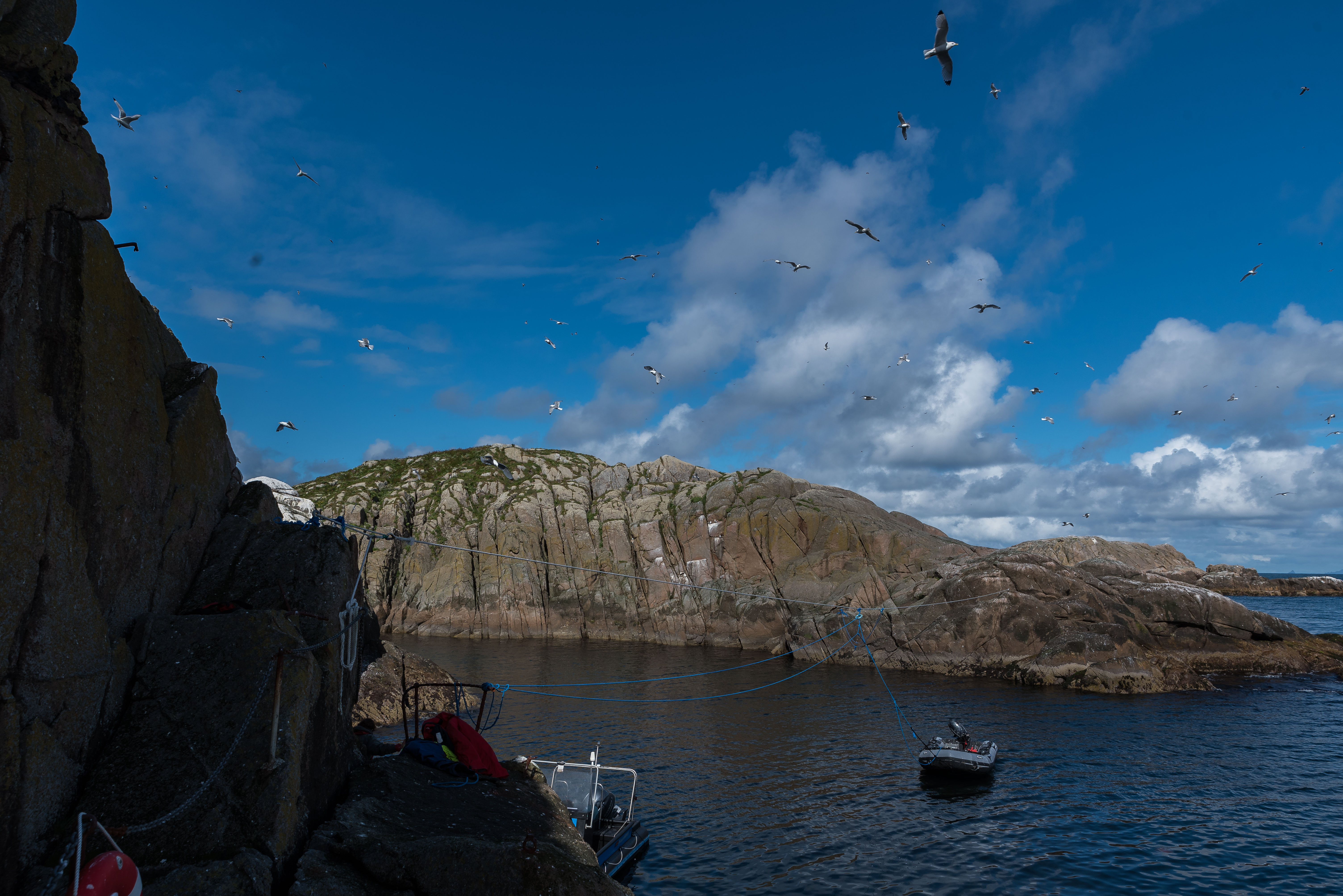 Where the boats are moored